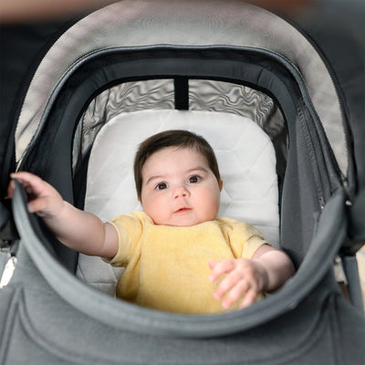 Moisés Infantil Maxi-Cosi Sense Twillic Graphite - Pronto para dormir fora de casa 